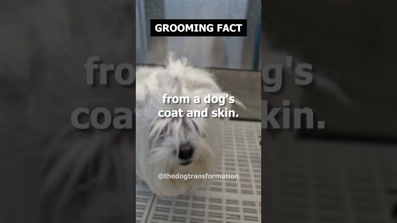 Grooming helps remove dirt