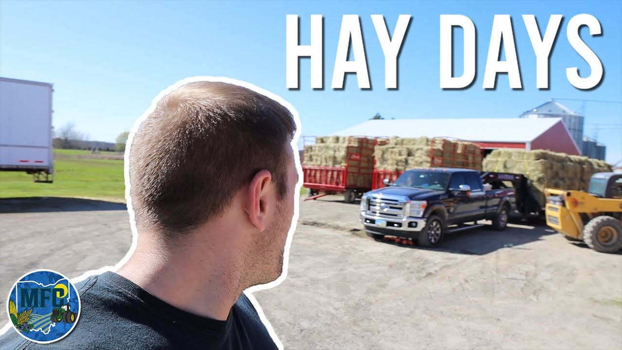 Our Farm's Weekend Of Hay (Wreckless Operator Knocks Over The Hay Stack!)