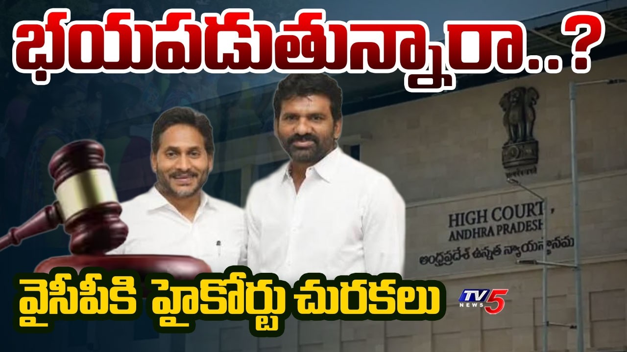 AP High Court Serious Comments on YSRCP MLC Over DSC PIL | YS Jagan | TV5 News