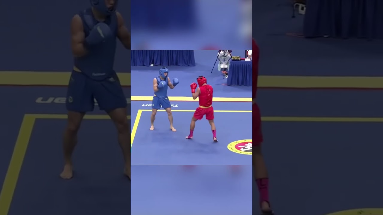 Wushu sanda fight