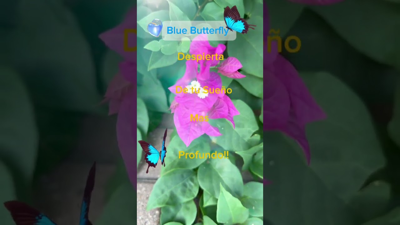 Testimonio #padrecelestial #jesuscristo #jesus #cristo #dios #omnipotente #testimoniodefe #fe