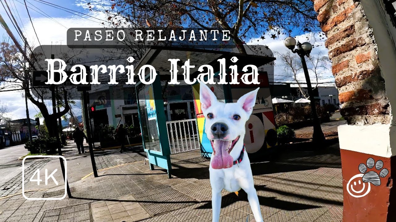 [4K] Paseo urbano 🐾 por Barrio Italia | Santiago Chile Walking Tour with Real Ambient Sounds and dog