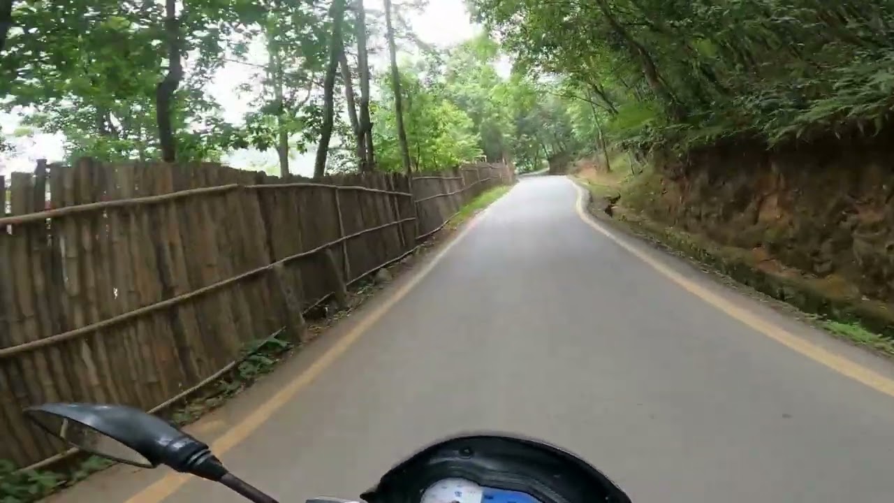 Se eu pudesse voltar no tempo
