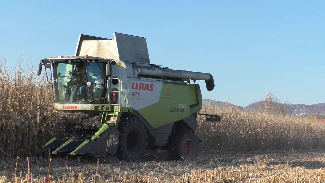 Giganten im Einsatz   XXL Claas Lexion 750 mit 8 Reihigem Maispflücker Beim Worz dreschen mit Trakto