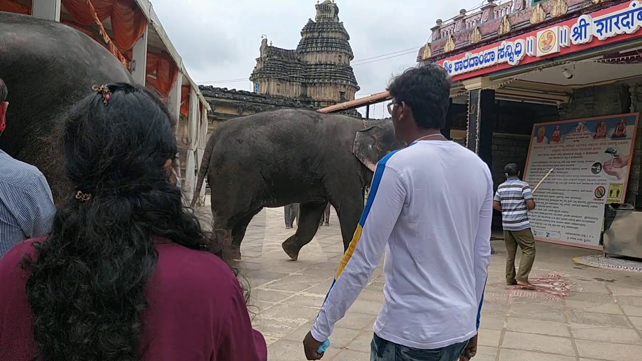 Sringeri temple elephant paying respect to Sharadambe