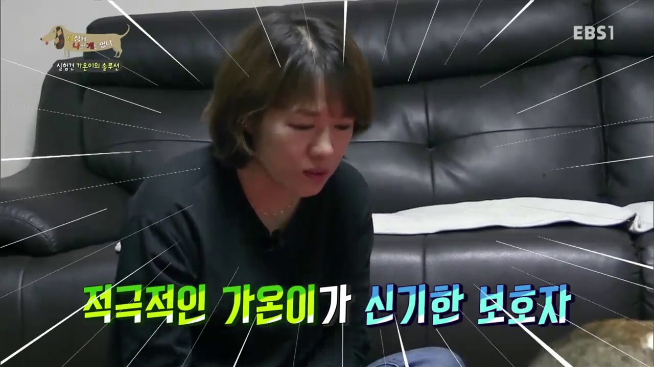 세상에 나쁜 개는 없다 - 나는 실험 비글입니다_#003