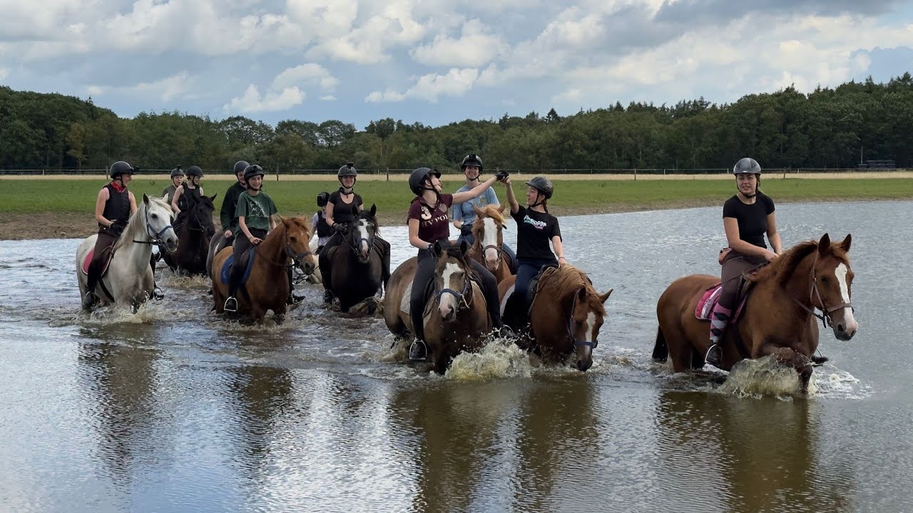 Rc het Fjordenpaard 2023 week 1