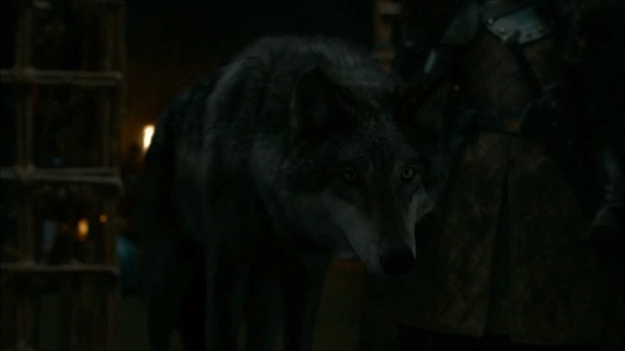 Game of Thrones Season 2 (Direwolf) Robb Stark vs. Jaime Lannister (HD)