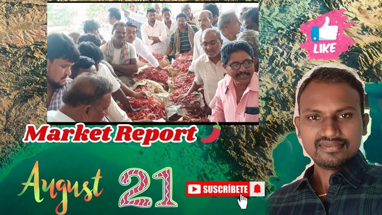 21-08-2025 Market Report 