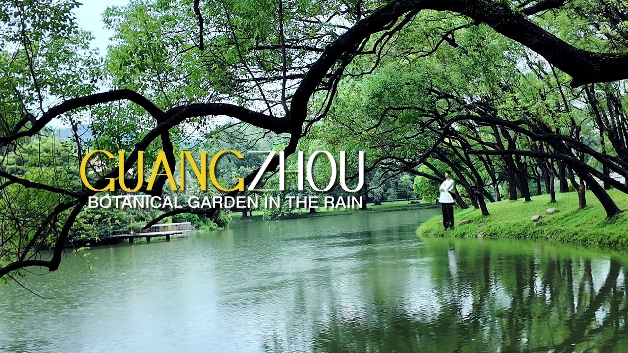 Rainy Walk: World's Largest Urban Botanical Garden 4K | China Travel VLOG