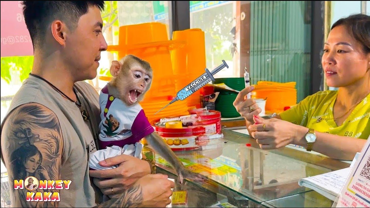 Urgent! Dad took Kaka to the vet to get her vaccinations up to date