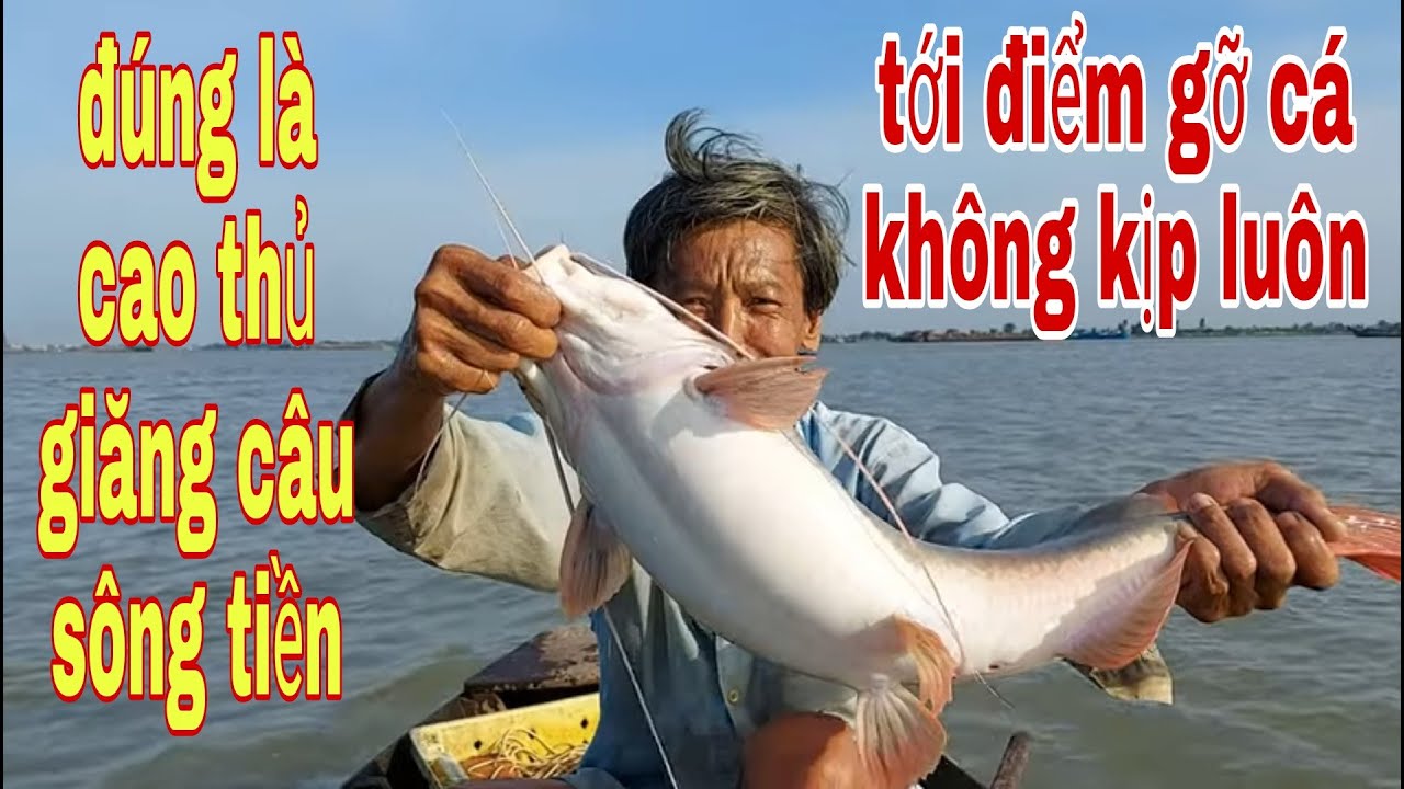 Đường Câu Làm Nên Lịch Sử , 3 lưỡi Câu Dính 3 Con Cá Khủng # SĂN BẮT ĐỒNG THÁP #