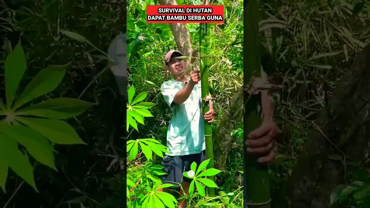 NEMU BAMBU LANGKA‼️ DI HUTAN#shorts#bambupetung#survival#darrellghazali