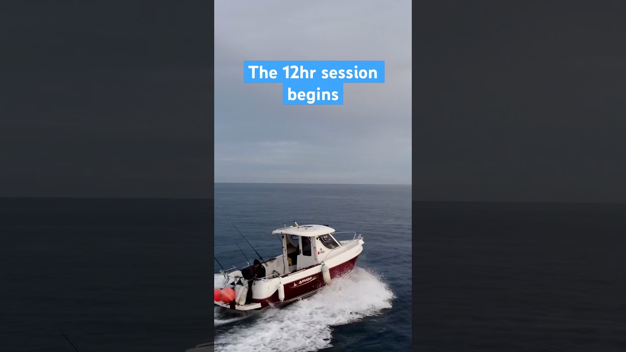 Species hunt ,arvor boat fishing at its best #keepsupporting #boatfishing