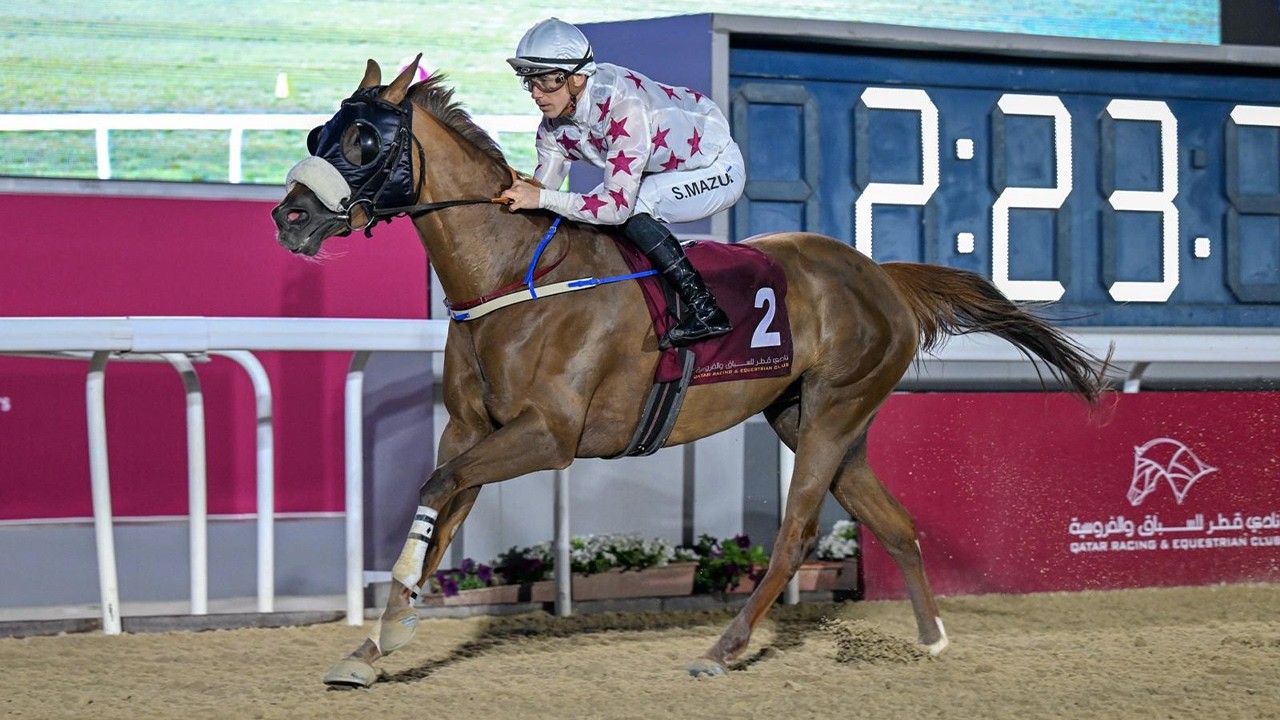RM 52  Al Rayyan Race 5 -  Al Jumayliyah Cup