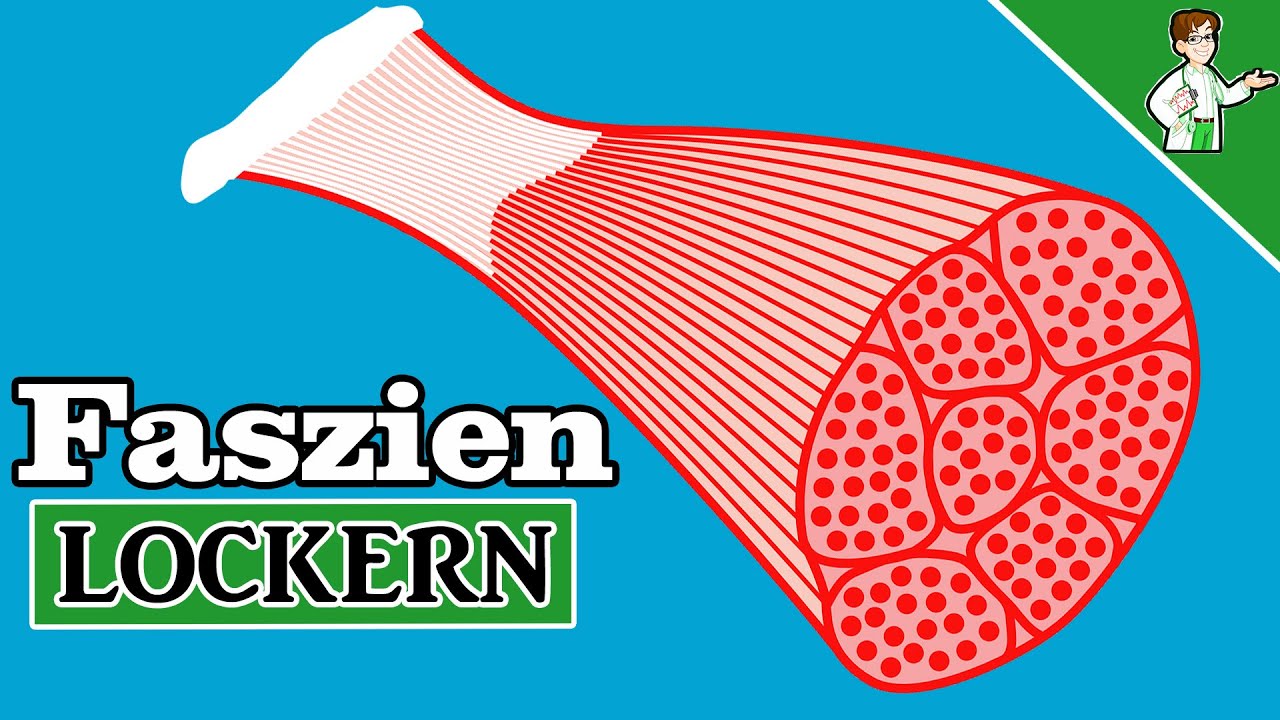 SO kannst du verklebte Faszien lockern - Top 5 Tipps ✅