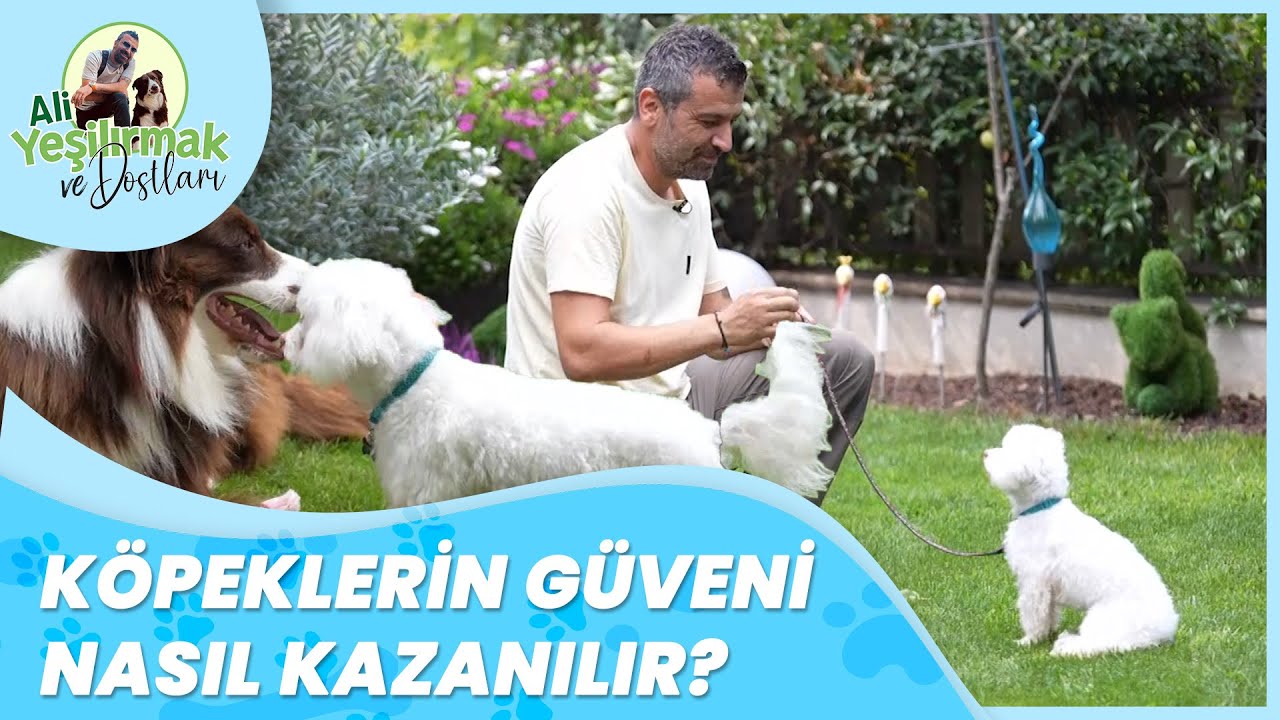 Kucaktan İnmeyen Köpeklerin Korkusu Nasıl Yenilir? | Ali Yeşilırmak ve Dostları