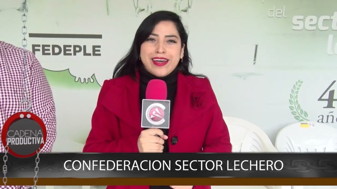 Productividad boliviana 