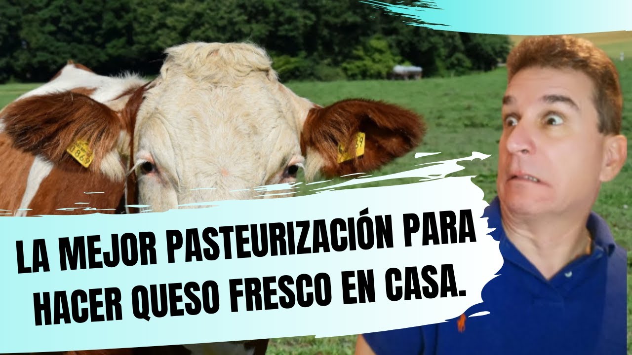 Salud Publica!, Descubre la mejor Pasteurización para hacer Queso Fresco Artesanal en casa.