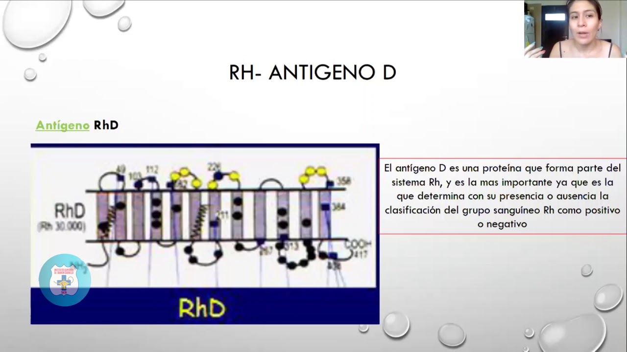 PROF CLAUDIA DIAZ INMUNOHEMATOLOGIA