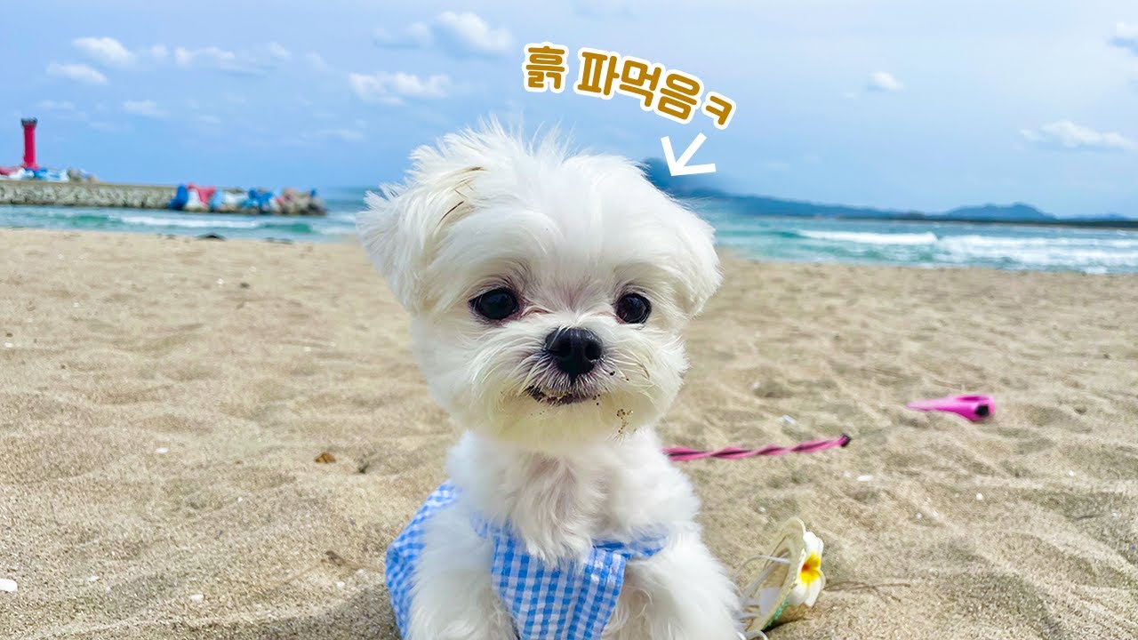 영덕 와서 흙 파먹는 나 어떤데ㅋ