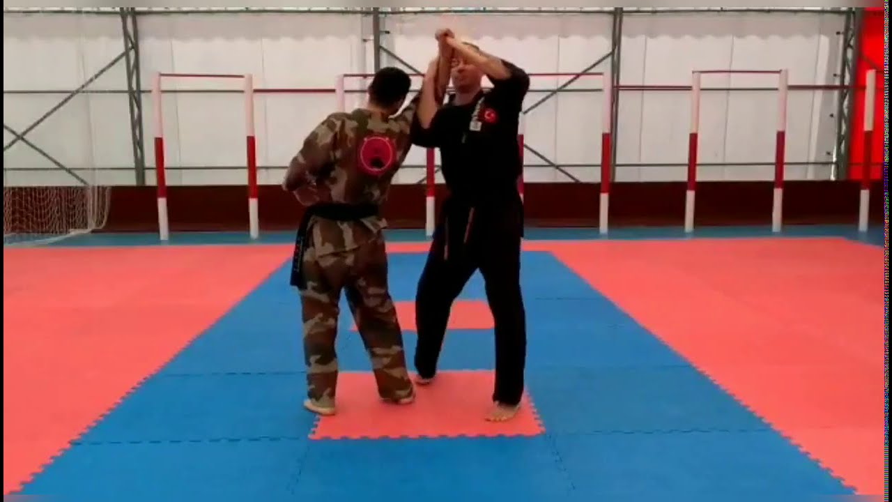 Ninbudo Aikijutsu #NinbudoAikijutsu #Martialarts#selfdefensetechniques #Aikijutsu#Ninbudo