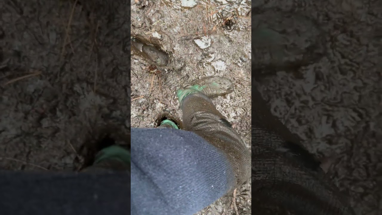 Socks in swamp mud