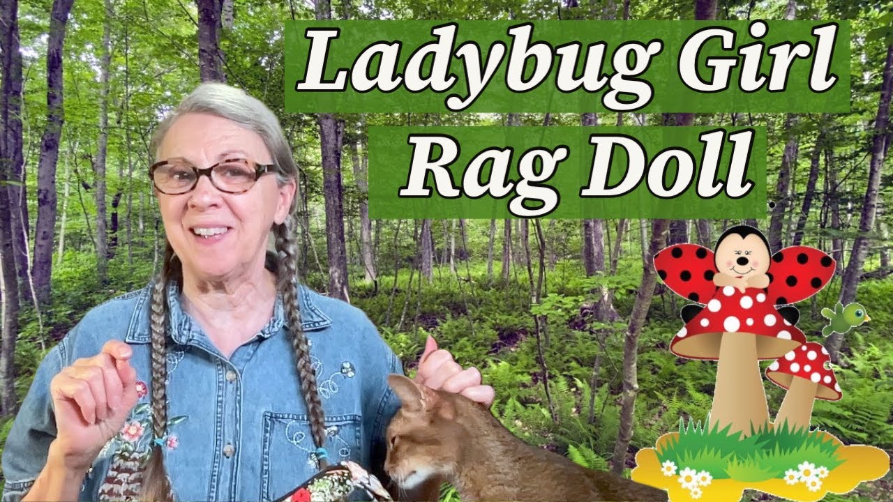 Давайте сшьем тряпичную куклу-божью коровку в технике медленного стежка!