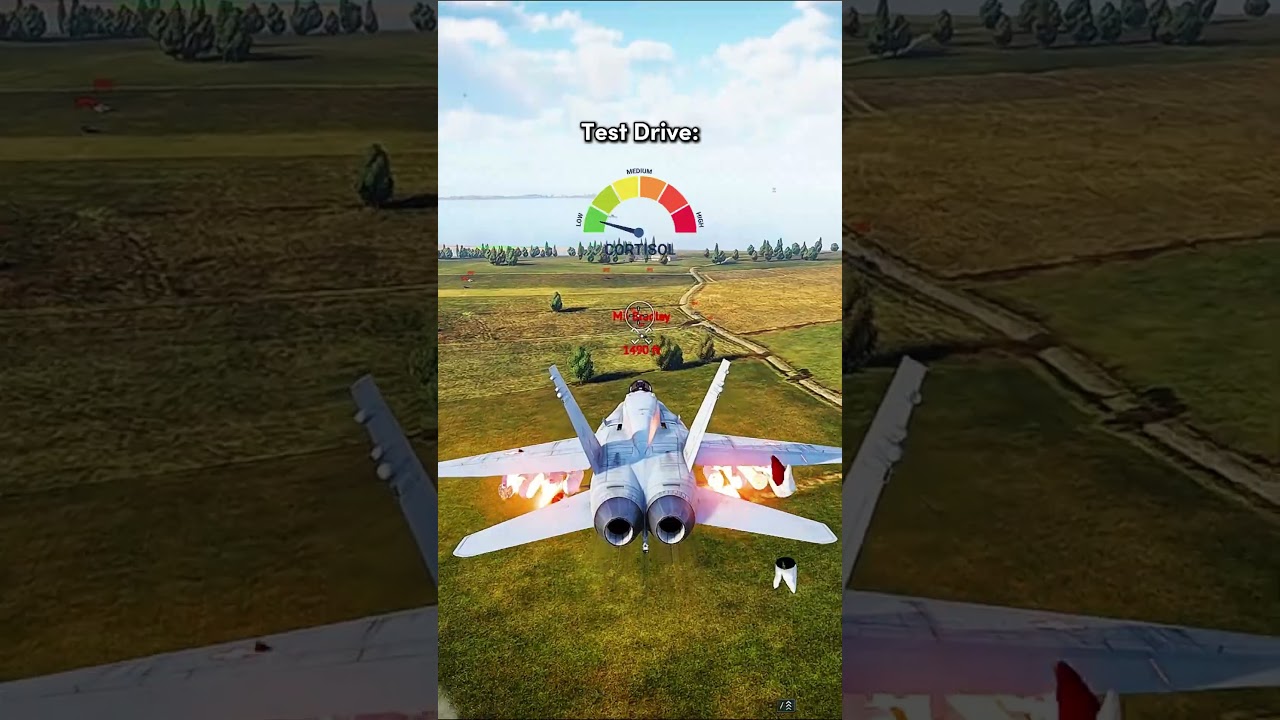 High vs Low Cortisol In War Thunder! 😂