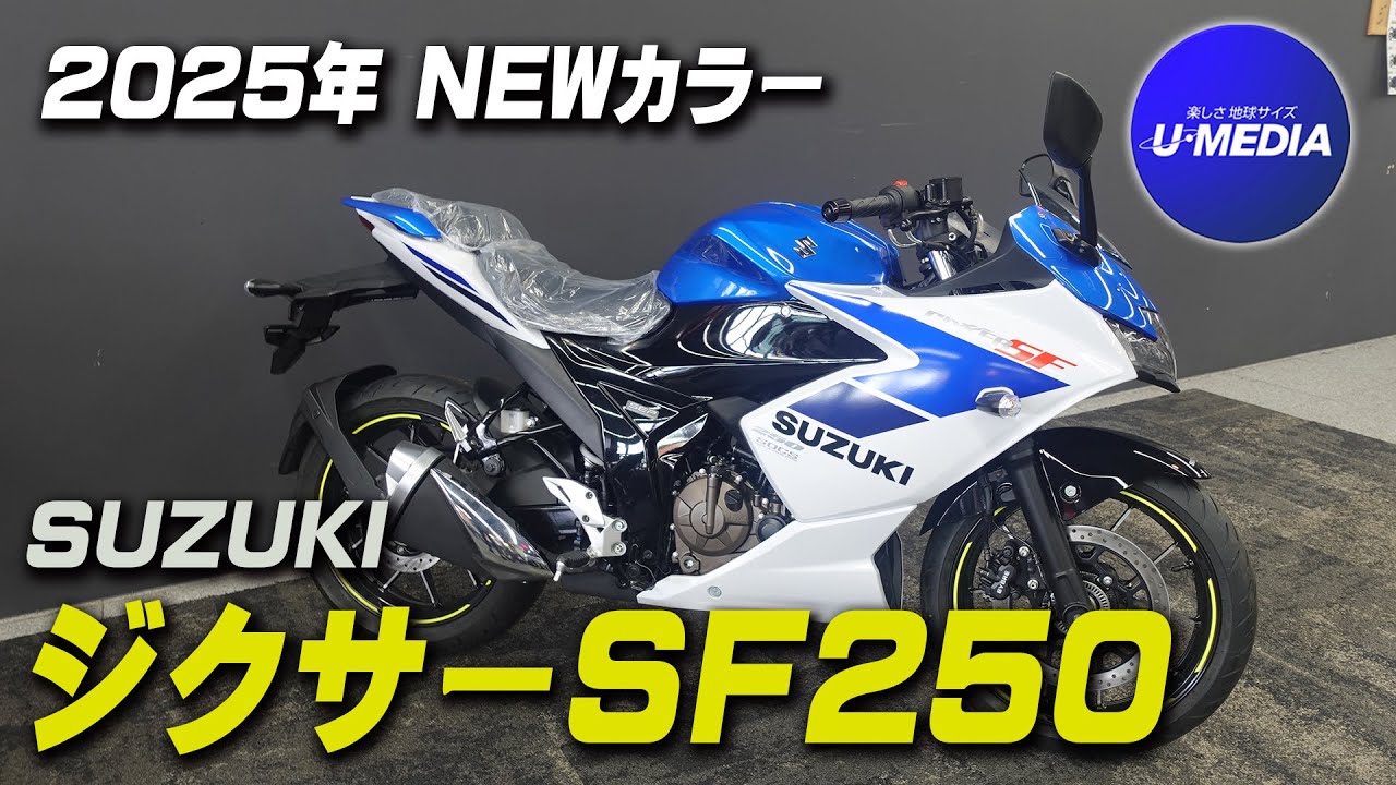 「SUZUKI ジクサーSF250」2025年NEWカラー！車両の特徴と合わせて簡単にご紹介いたします！足付きチェックも！ユーメディア横浜新山下
