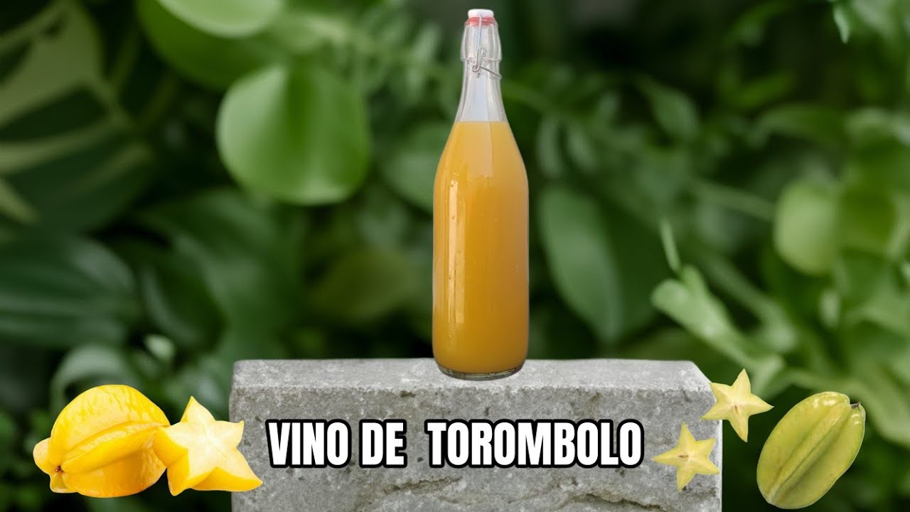 VINO de TOROMBOLO/fruta estrella/carambola