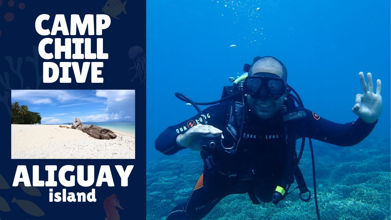 Aliguay Island Dive; Discover Dapitan's Underwater Landscape