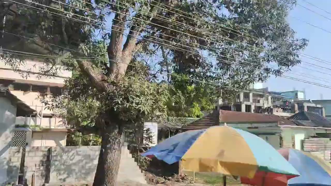 Green Kerala