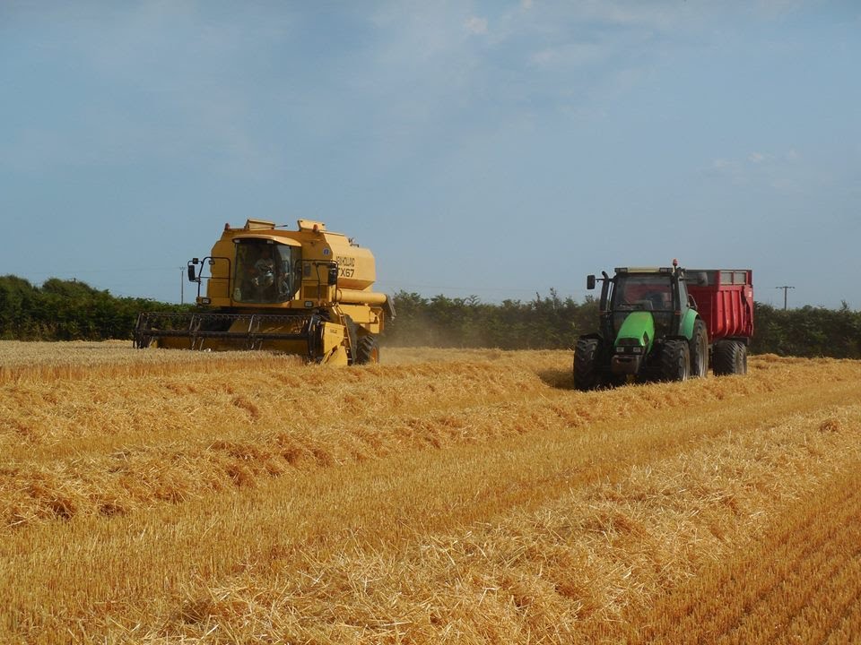 Moisson d'orge 2015 l New Holland TX 67 l ETA L'Hostis