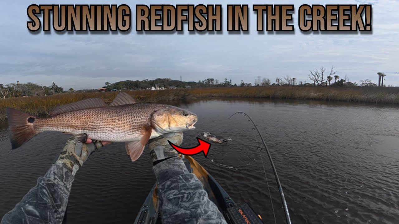 STUNNING REDFISH IN THE CREEK! (ACTION PACKED FISH!)