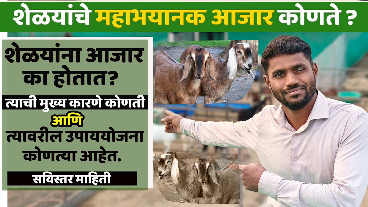 शेळ्यांचा महाभयानक आजार कोणता | त्यावरील उपाय योजना #goatfarm #शेळीपालन