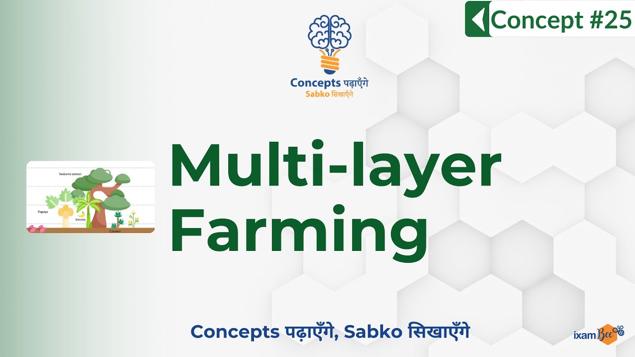 Concepts पढ़ाएँगे, Sabko सिखाएँगे | Concept 25 |  Multi-layer Farming