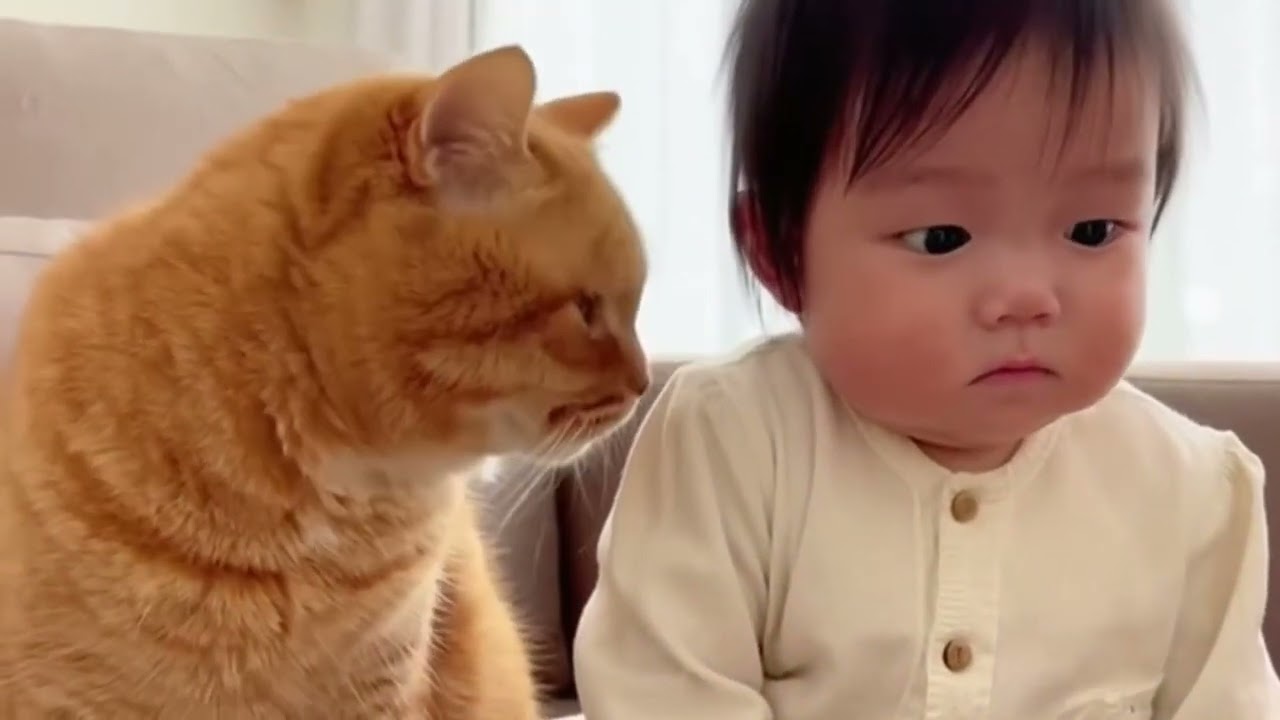 赤ちゃんのしゃっくりで猫がフリーズ…心配そうに覗き込む