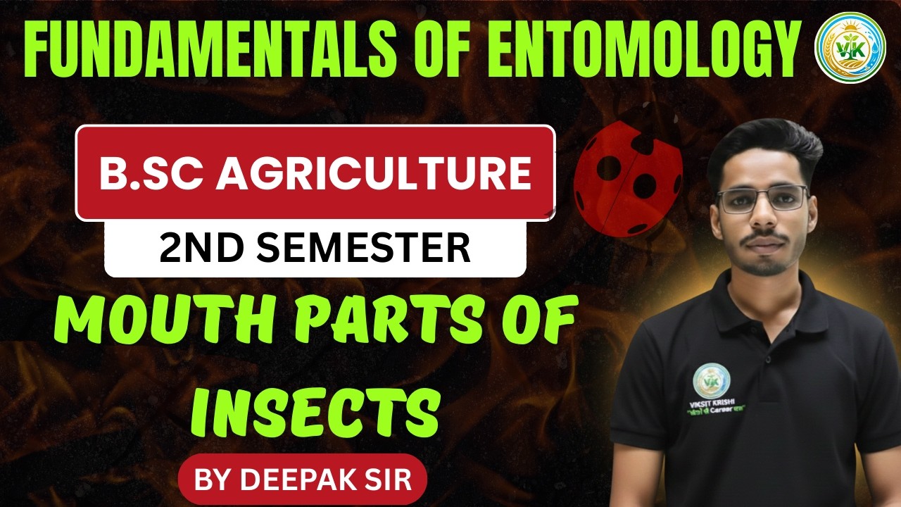 🔥B.Sc Agriculture 2nd Semester | Fundamentals of Entomology | Mouth Parts of Insects | VIKSIT KRISHI
