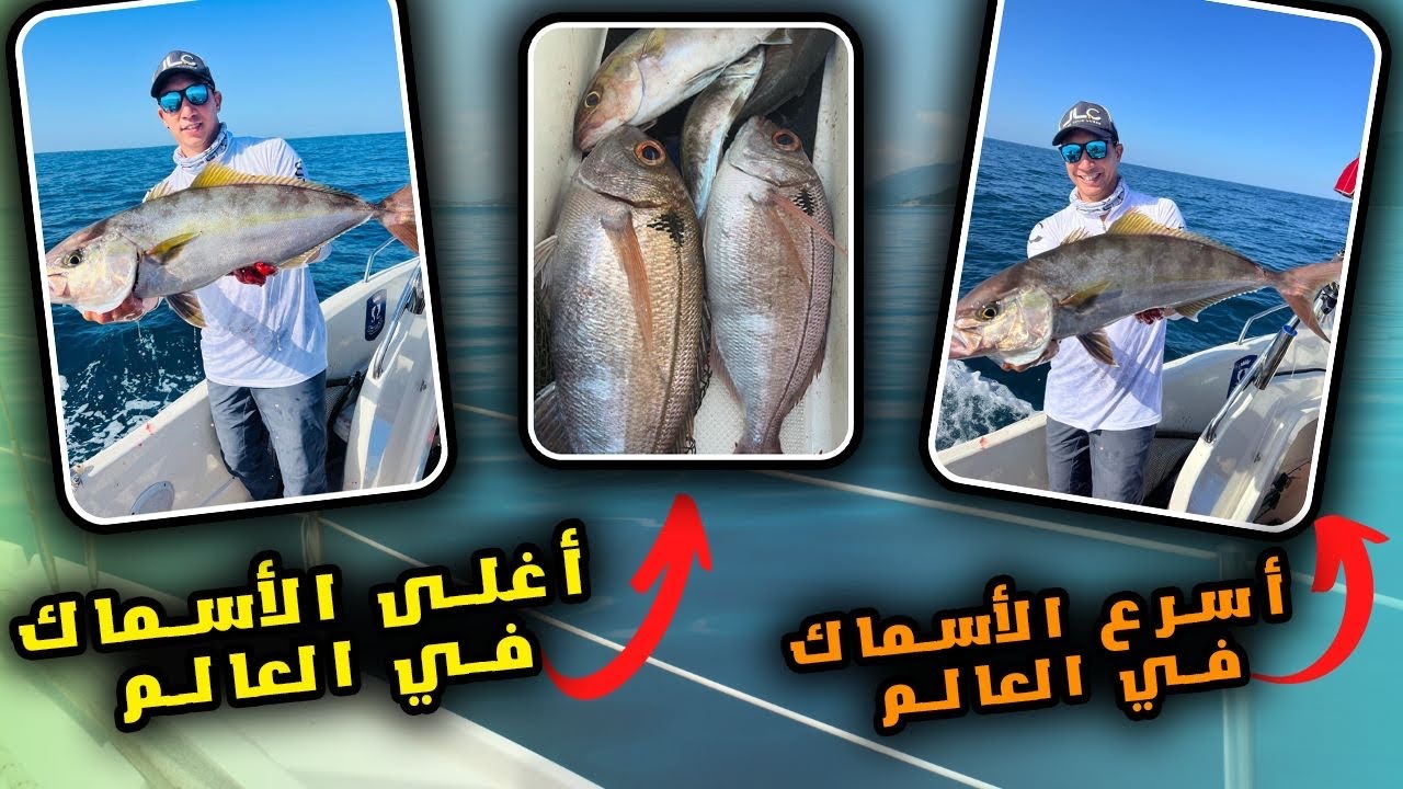 ‏رحلة صيد إلى مدينة أكادير و الحصيلة من وزن الرفيييع