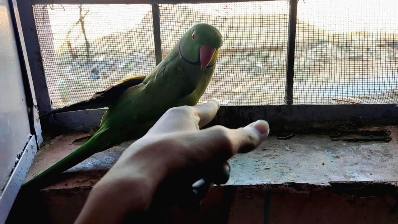 Subha subha Kon aagaya 😃