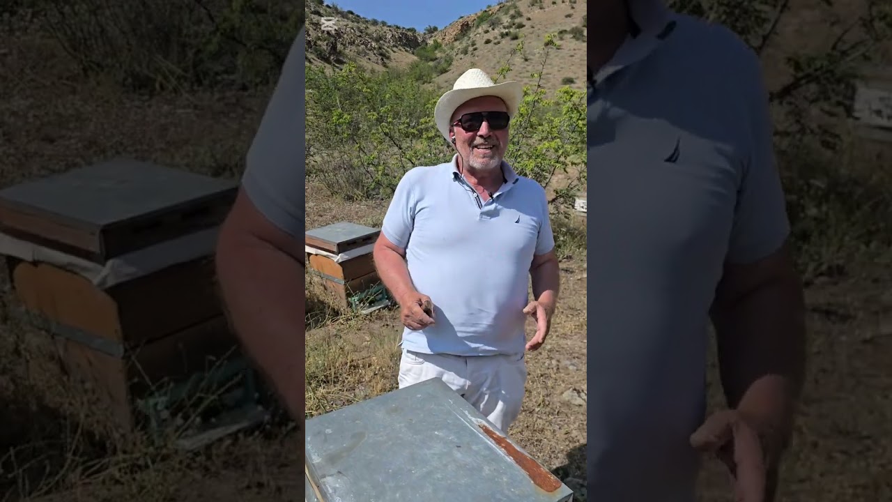 PART 2 Varrova mücadelesi Bölme nasıl yapmalıyız? Kovan kontrolünde meme varsa ne yapacağız? …