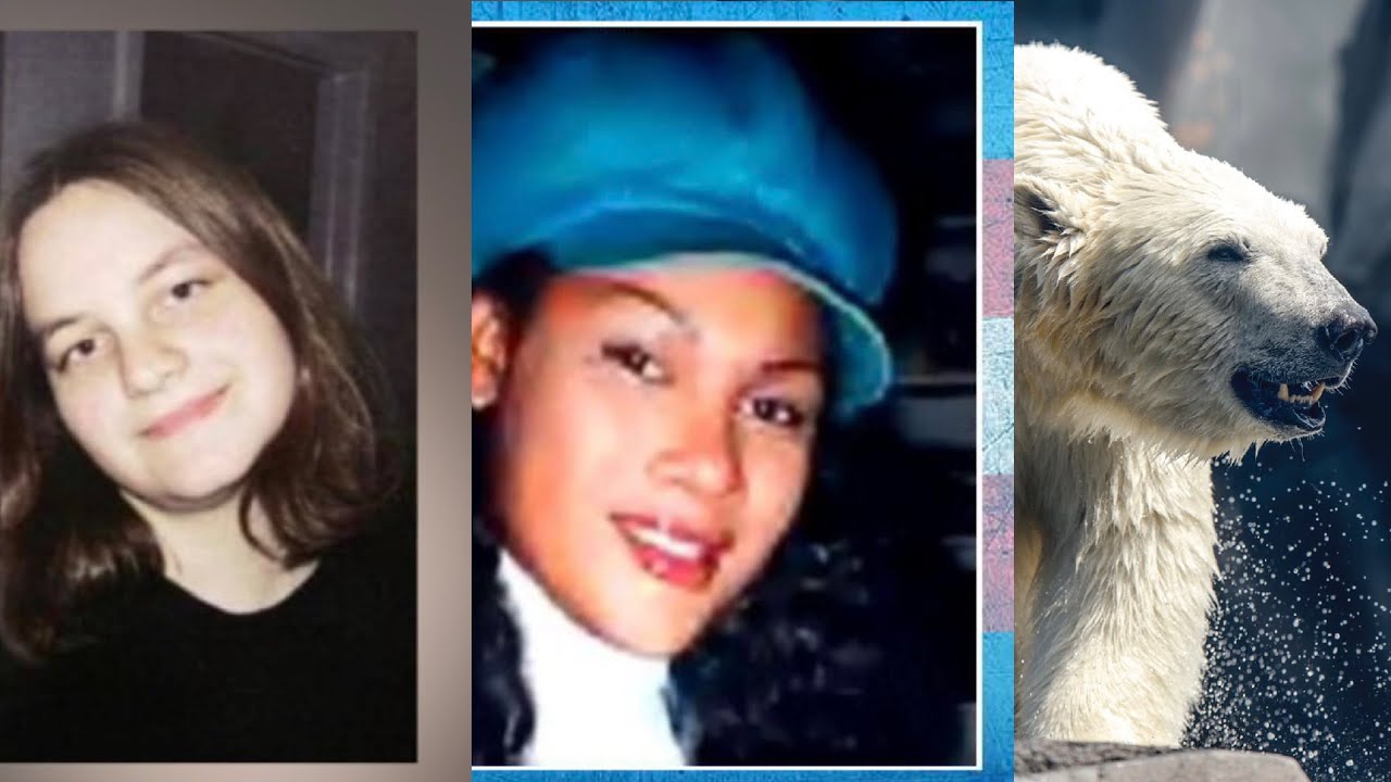 True Crime Compilation Video | Making A True Crimerer TikTok's from April and May 2023