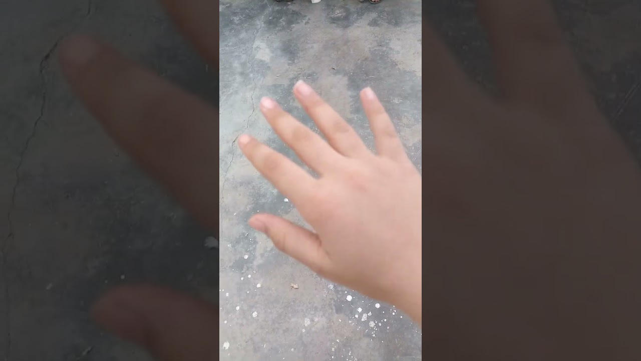 ٢٢ شباط ٢٠٢٦