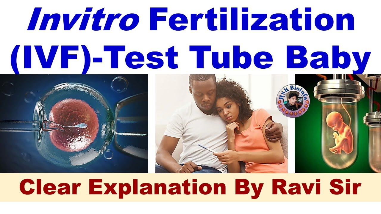Invitro Fertilization (IVF) | Test tube Baby | HSR Bioinfo