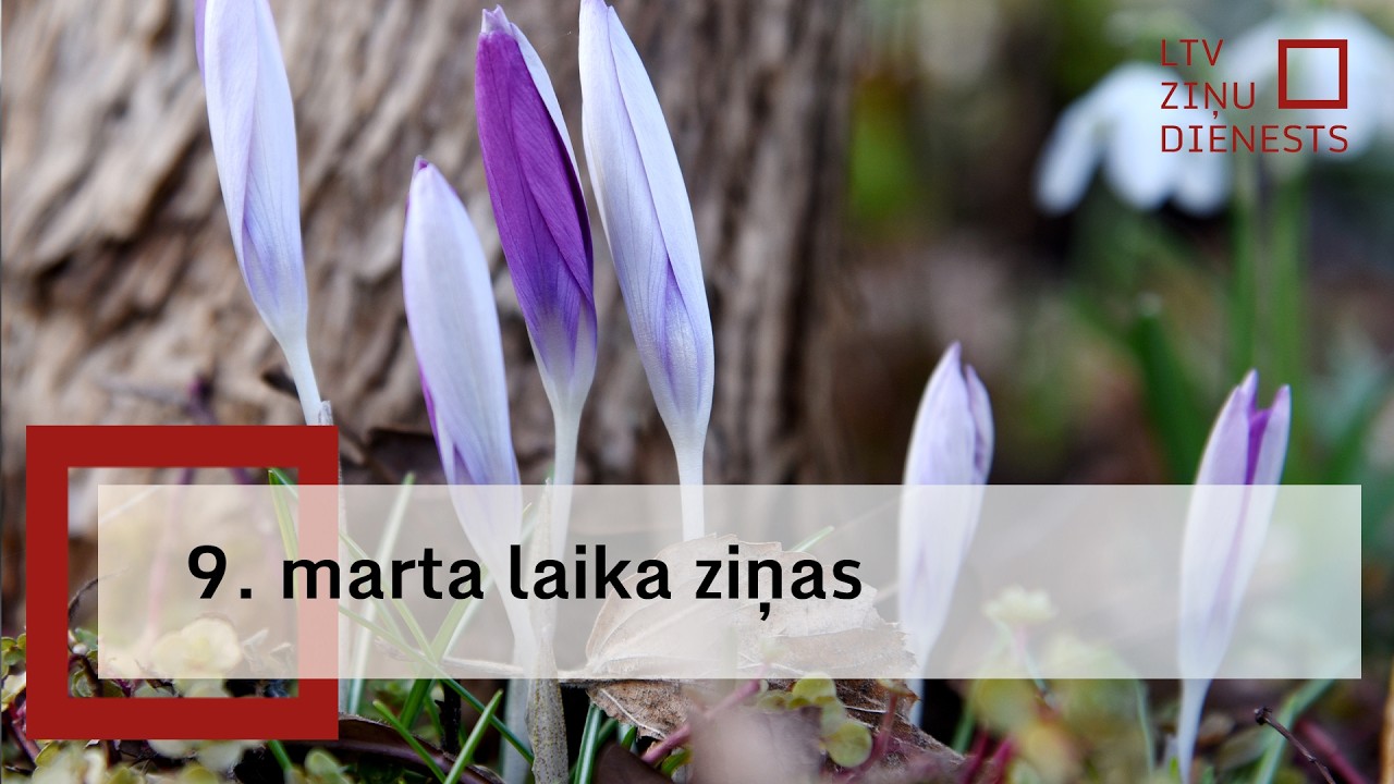 Pirmdien gaiss iesils līdz +15 grādiem