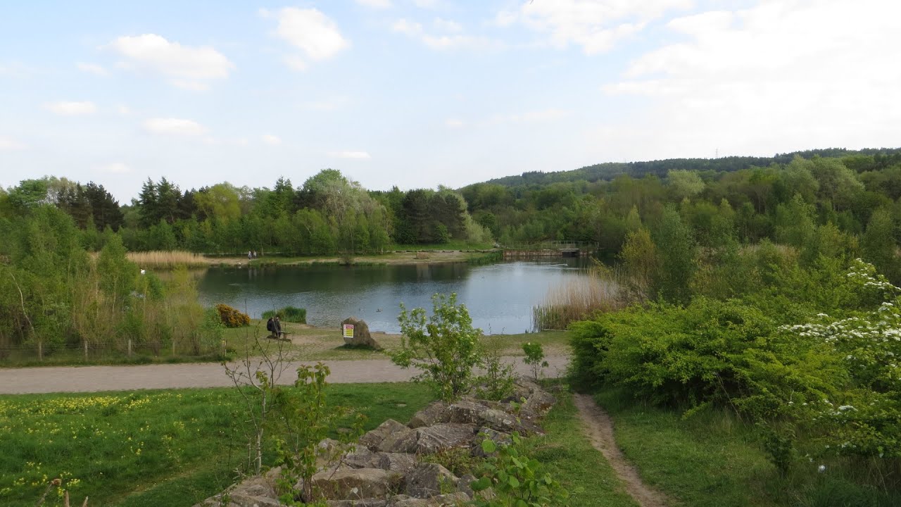 A Walk Around Watergate Forest Park - Gateshead
