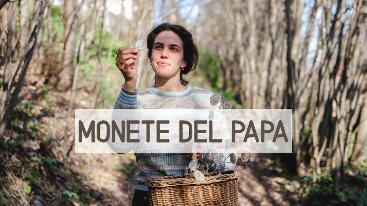 MONETE DEL PAPA: utilizzi e riconoscimento