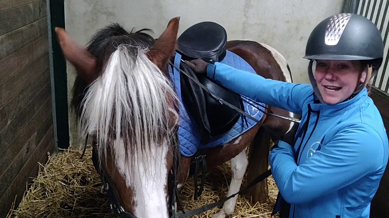 Instructie Manegeles RSV de Hoge Devel
