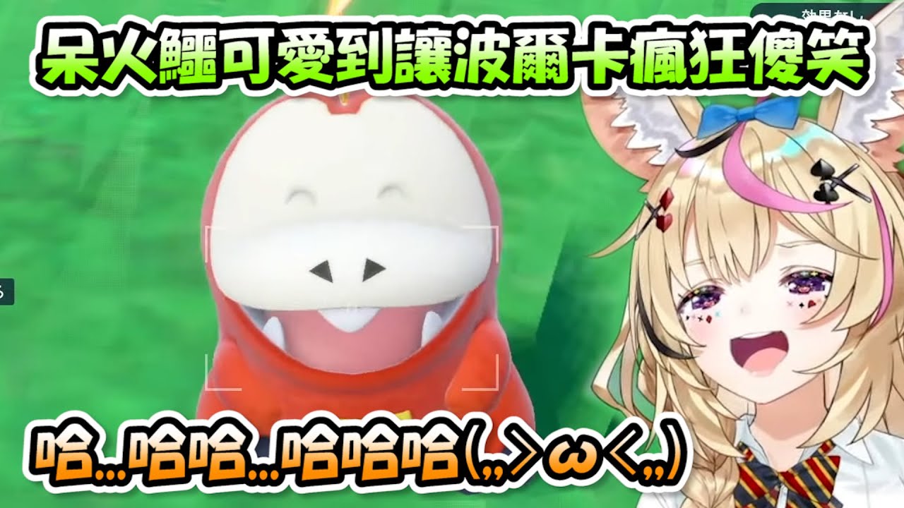 呆火鱷可愛到讓波爾卡失去語言能力瘋狂傻笑，開心到這樣的座長還真是少見呢www【尾丸波爾卡】【Hololive/ホロライブ】【vtuber中文字幕】